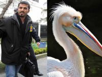 Mehmet Baransu Sendromu ve Medyada Çeteleşme