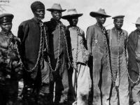 Alman Hükûmeti Namibya Soykırımını Kabul Etti