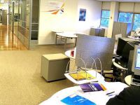 Erzincan'da 270 Kamu Çalışanı Açığa Alındı