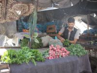 Kuşatmanın Kırılmasının Ardından Halep’e Yiyecek Sevkiyatı (Foto)