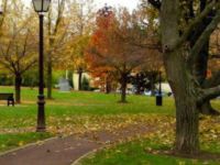 Park ve Spor Alanlarında Sigara Yasağı