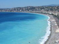 Nice’teki Caminin Önüne Domuz Başı Bırakıldı!