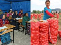 Gündüz Çiftçi Akşam Öğrenci