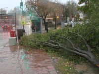 Haiti’de Kasırga: 264 Kişi Hayatını Kaybetti