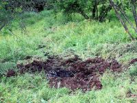 Yayladağı Kırsalına 3 Top Mermisi Düştü!