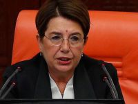 Bahçekapılı: Almanya'da Gözaltına Alınmak İstendim