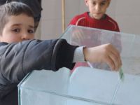 Kudüslü Müslümanlar Halepli Kardeşlerini Unutmadı!