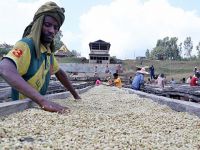 Günde 1 Dolara Dünya Markaları İçin Ter Döküyorlar!