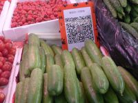 Çin’de Alışveriş: Cüzdan Yerine Telefon