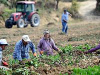 Türkiye Nüfusunun Sadece Yüzde 8'i Köyde Yaşıyor