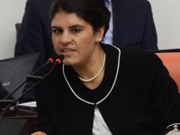 HDP Milletvekili Dilek Öcalan Gözaltına Alındı
