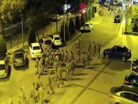 AK Parti’yi İşgal Girişimi Davasında 10 Tahliye