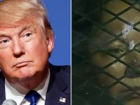 Meksikalı Anneyi Çocuklarından Ayırdılar!