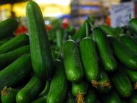 Şubatta En Fazla Salatalığın Fiyatı Arttı