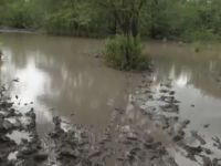 Zimbabve’de Sel Felâketi: 246 Kişi Can Verdi!