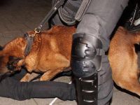 Hollanda'da Protestoculara Polis Köpekleriyle Müdahale Edildi