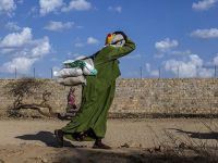 Etiyopya’da Acil Gıda Yardımına Yönelik İhtiyaç Artabilir
