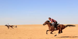 Halep Kırsalında At Yarışları Düzenlendi