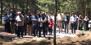 Bursa Özgür-Der Üyeleri Piknikte Buluştu