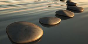 Nasıl Bir Gençlik ya da Dala Bakan Oğlak