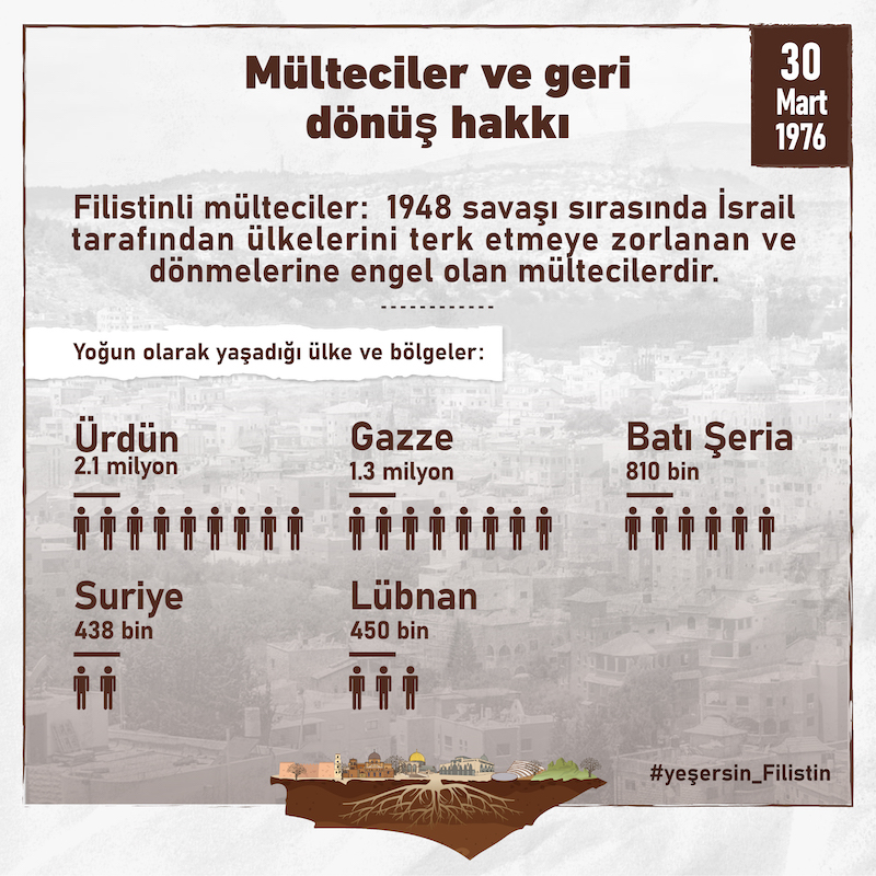 1-242.jpg