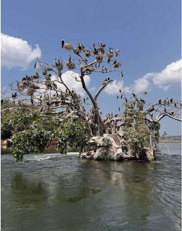 uganda-19