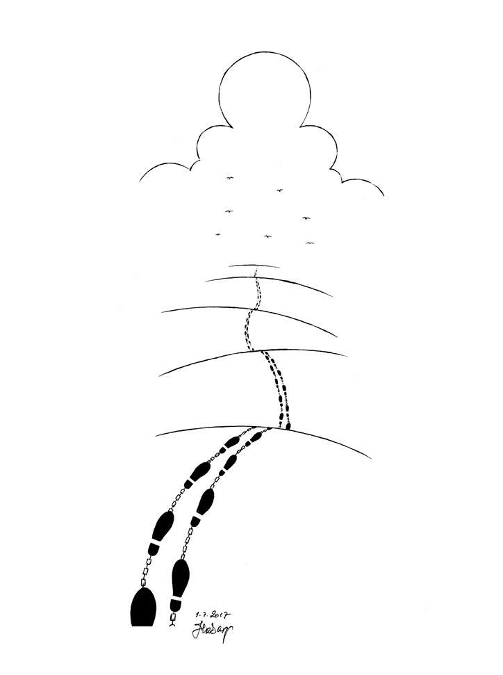 hasanaycin13