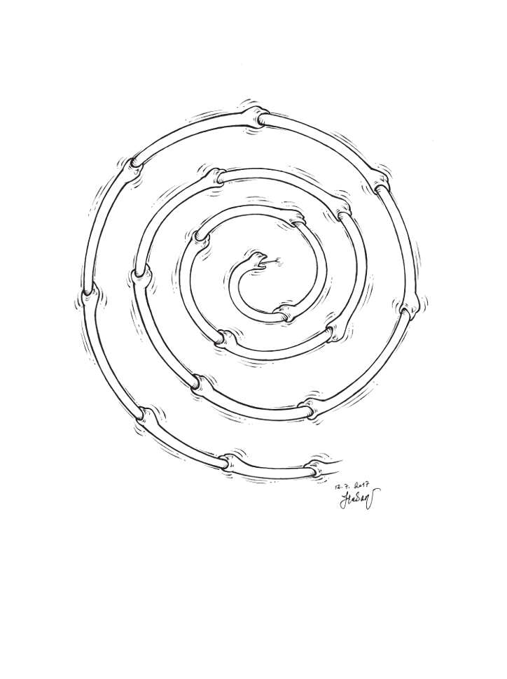 hasanaycin14