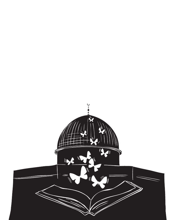 kaf13