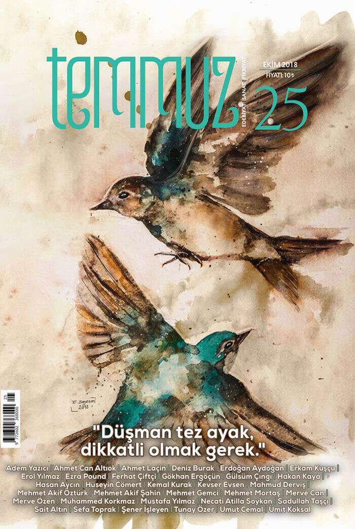 temmuz-025