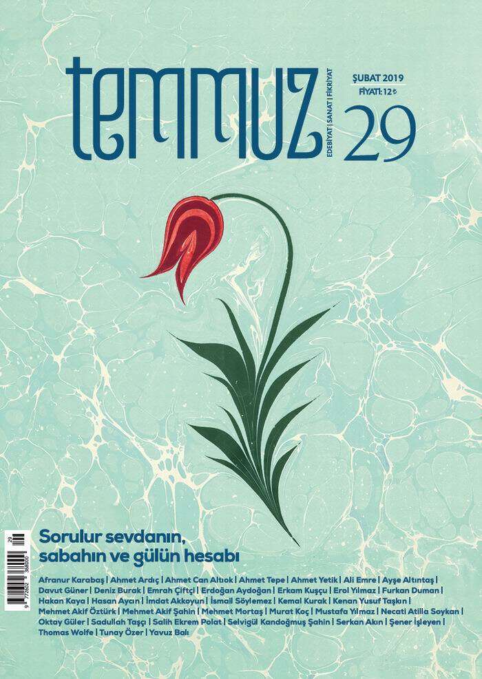 temmuz-029