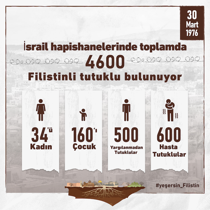 4-154.jpg