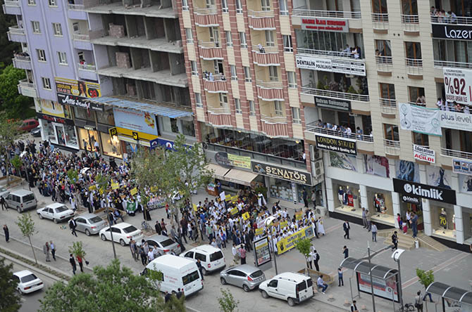 _dsc0301.jpg _dsc0301.jpg