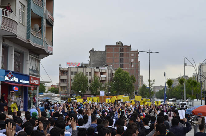 _dsc0320.jpg _dsc0320.jpg