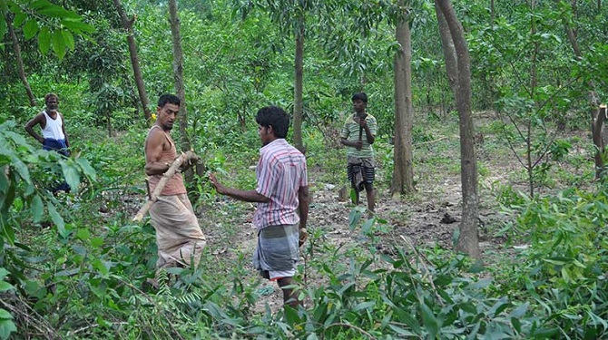 arakankamperkekler-001.jpg arakankamperkekler-001.jpg