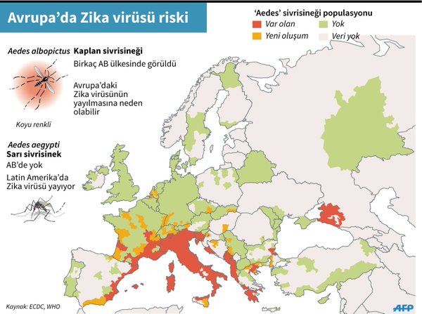 avrupada_zika_virusu_riski.jpg