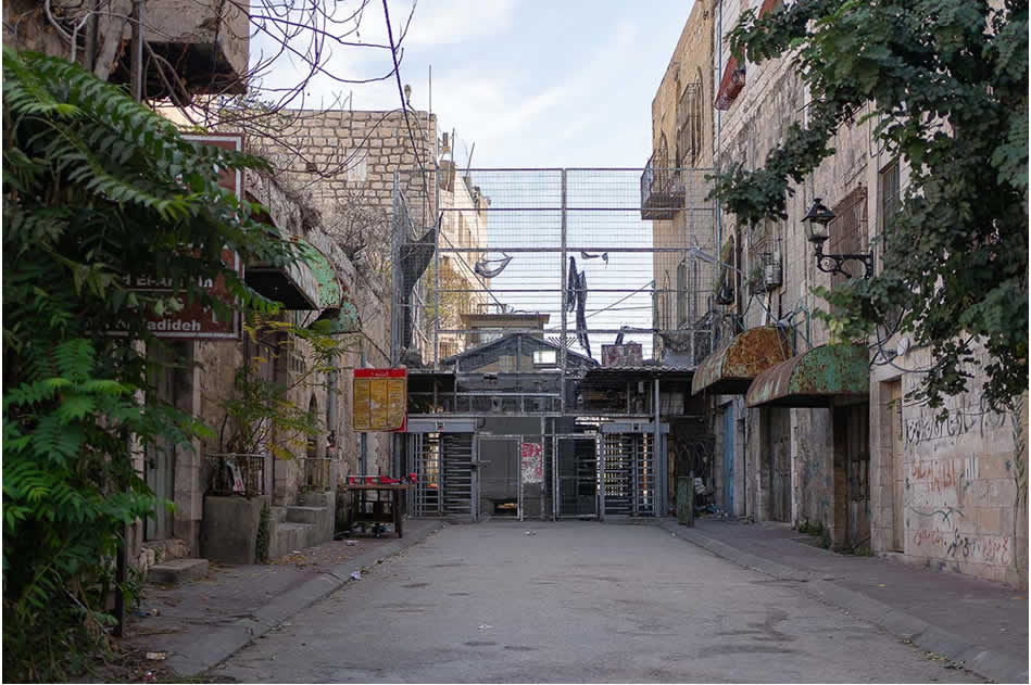 ayrk-7.jpg