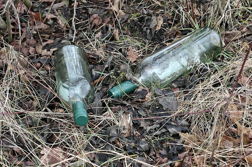 bottle-bottles-glass-garbage-wine-throw-away-society-on-the-side-of-the-road-environment-waste-disposal.jpg
