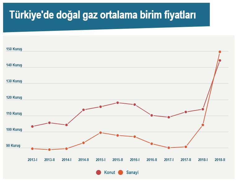 doga1.jpg