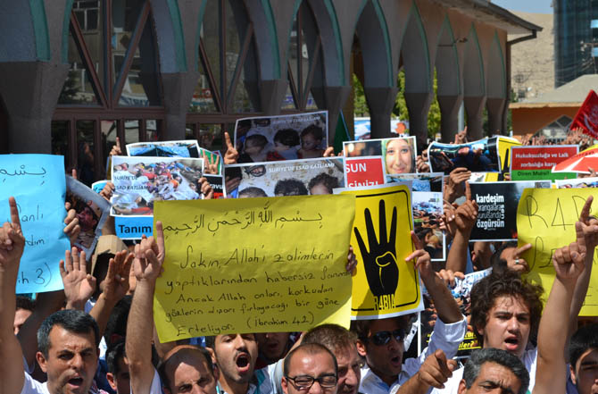 dsc_0012-003.jpg dsc_0012-003.jpg