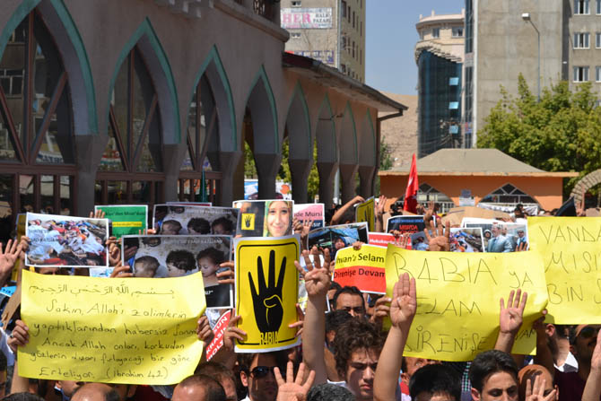 dsc_0017.jpg dsc_0017.jpg