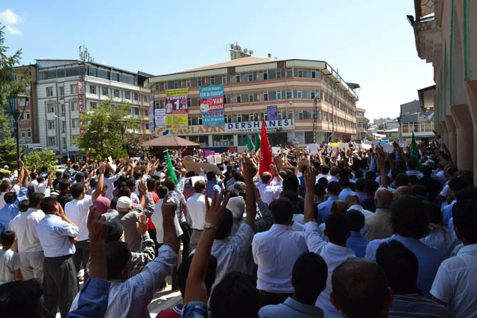 dsc_0033.jpg dsc_0033.jpg