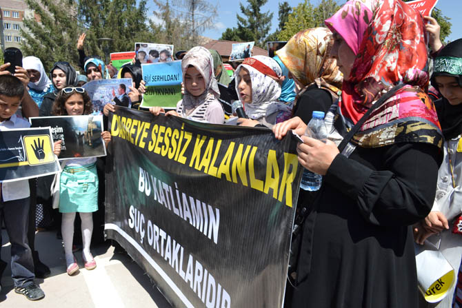 dsc_0042.jpg dsc_0042.jpg