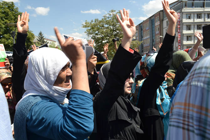 dsc_0047.jpg dsc_0047.jpg