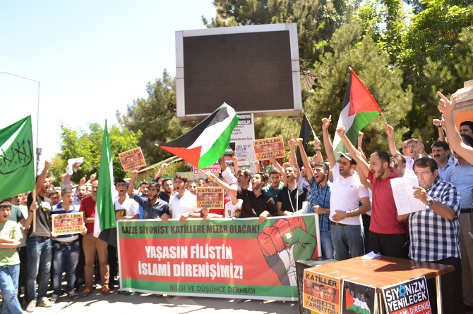 dsc_0113-002.jpg dsc_0113-002.jpg