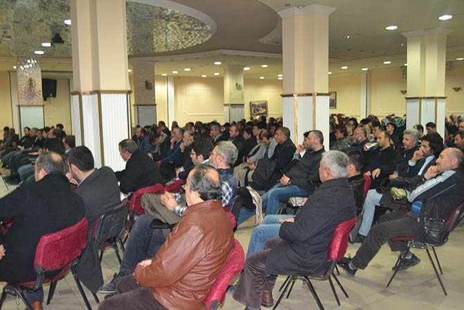 dsc_0113.jpg dsc_0113.jpg