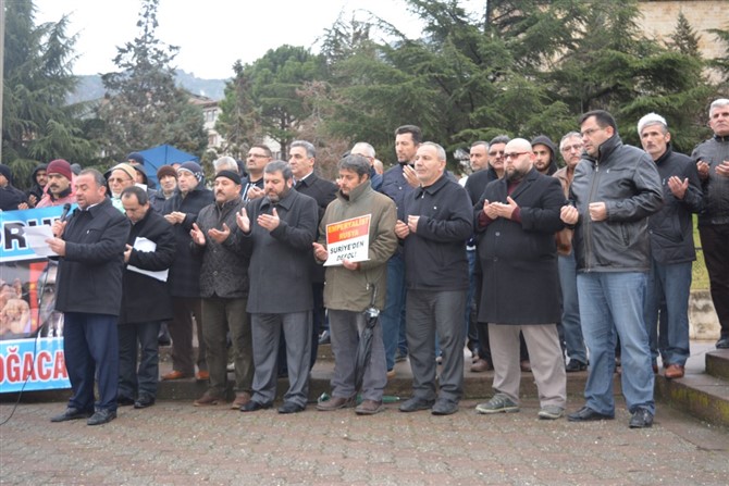 dsc_0219.jpg dsc_0219.jpg