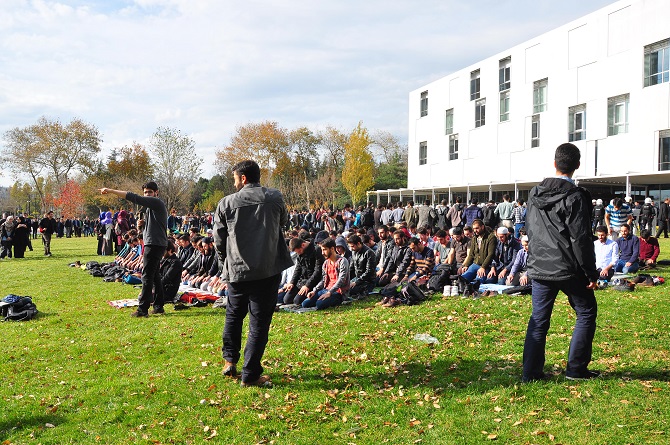 dsc_0340.jpg dsc_0340.jpg