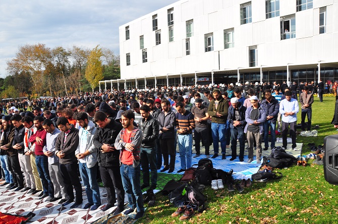 dsc_0370-001.jpg dsc_0370-001.jpg