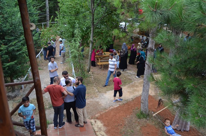 dsc_0551.jpg dsc_0551.jpg